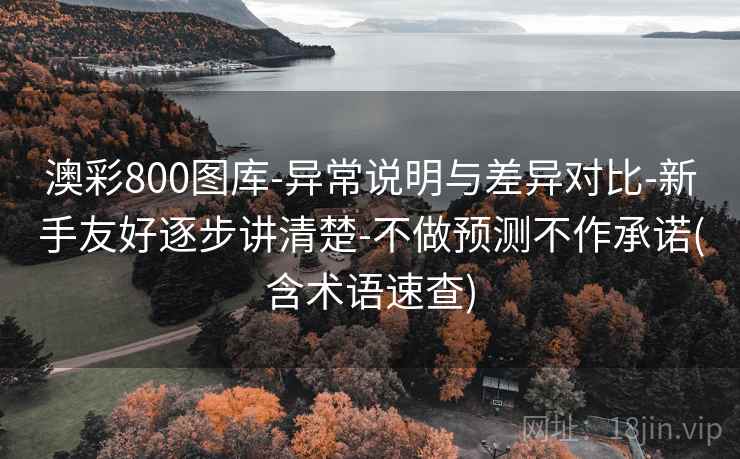 澳彩800图库-异常说明与差异对比-新手友好逐步讲清楚-不做预测不作承诺(含术语速查)